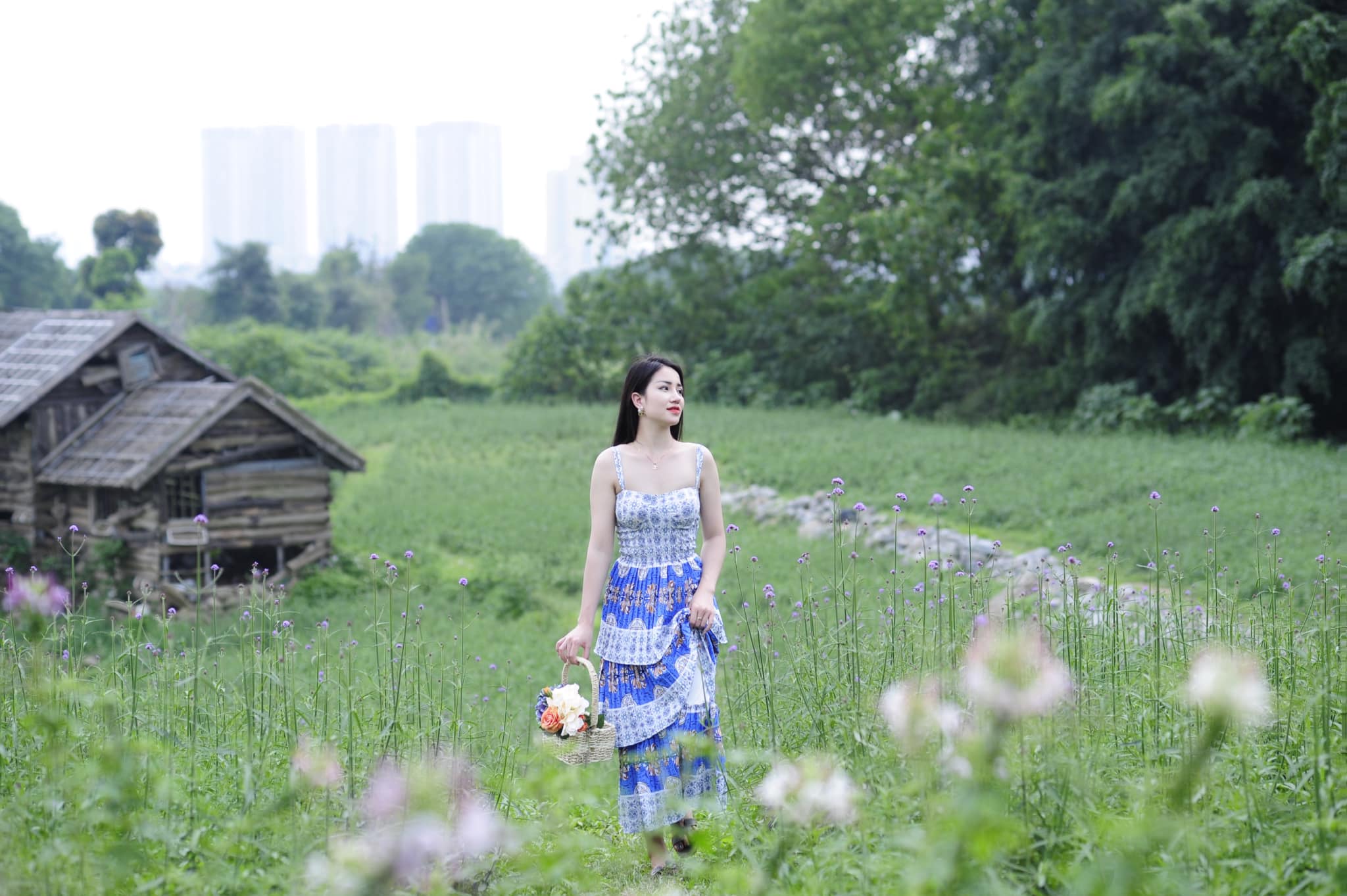 Ánh Rose tiep.lythitiep.9