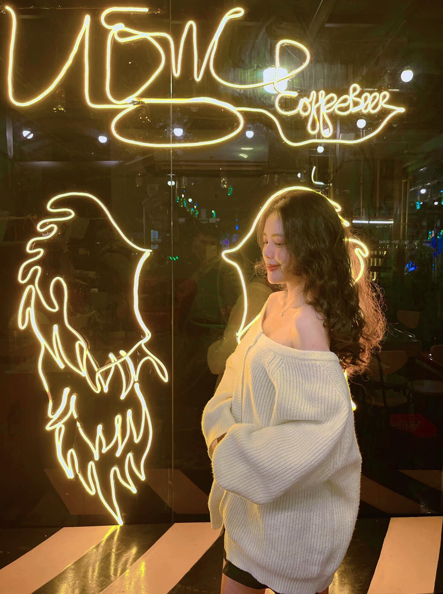 Phạm Nguyễn Hạ Vi harley.pham1701