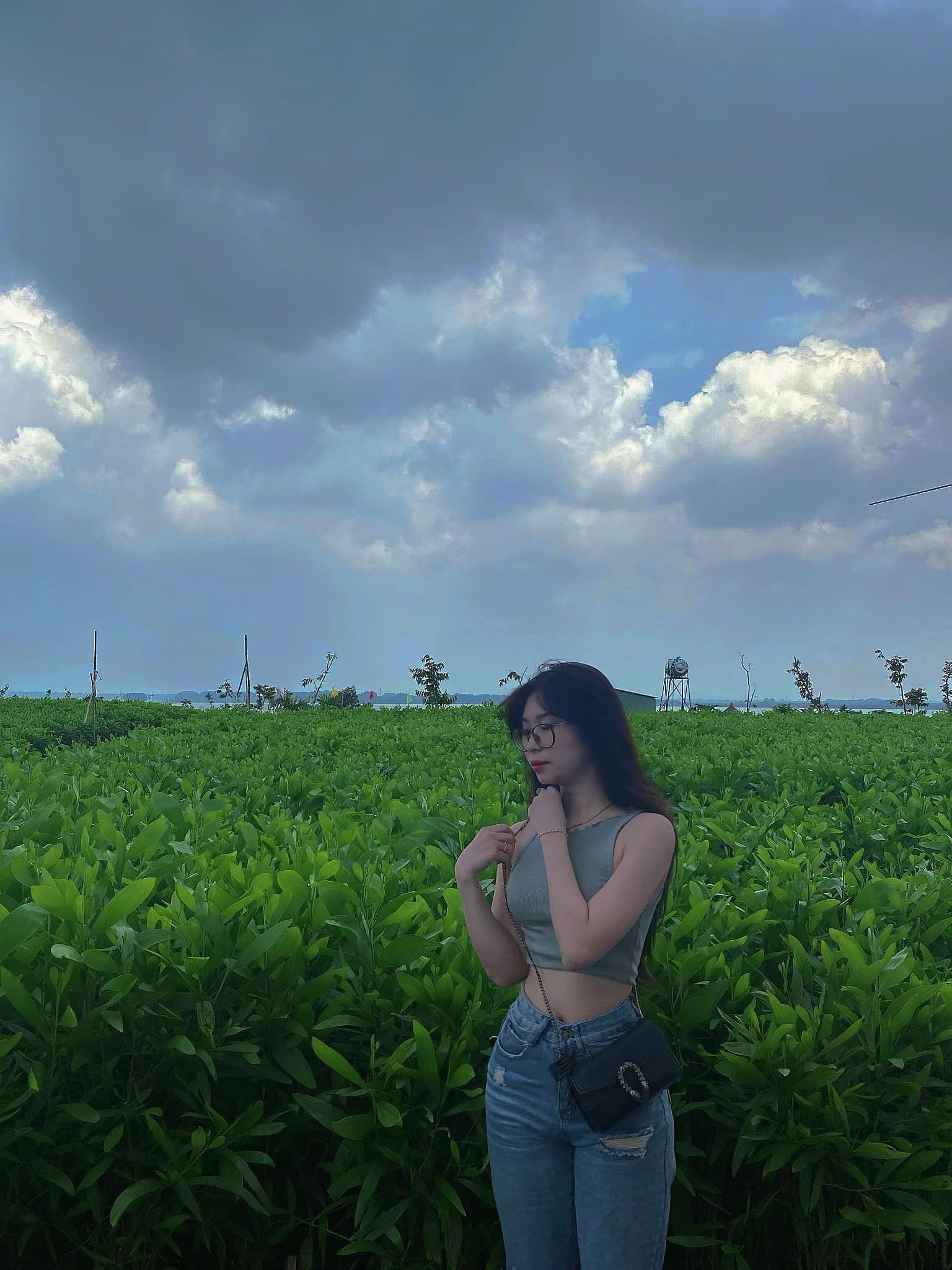 Vy Trần id=100072407201657