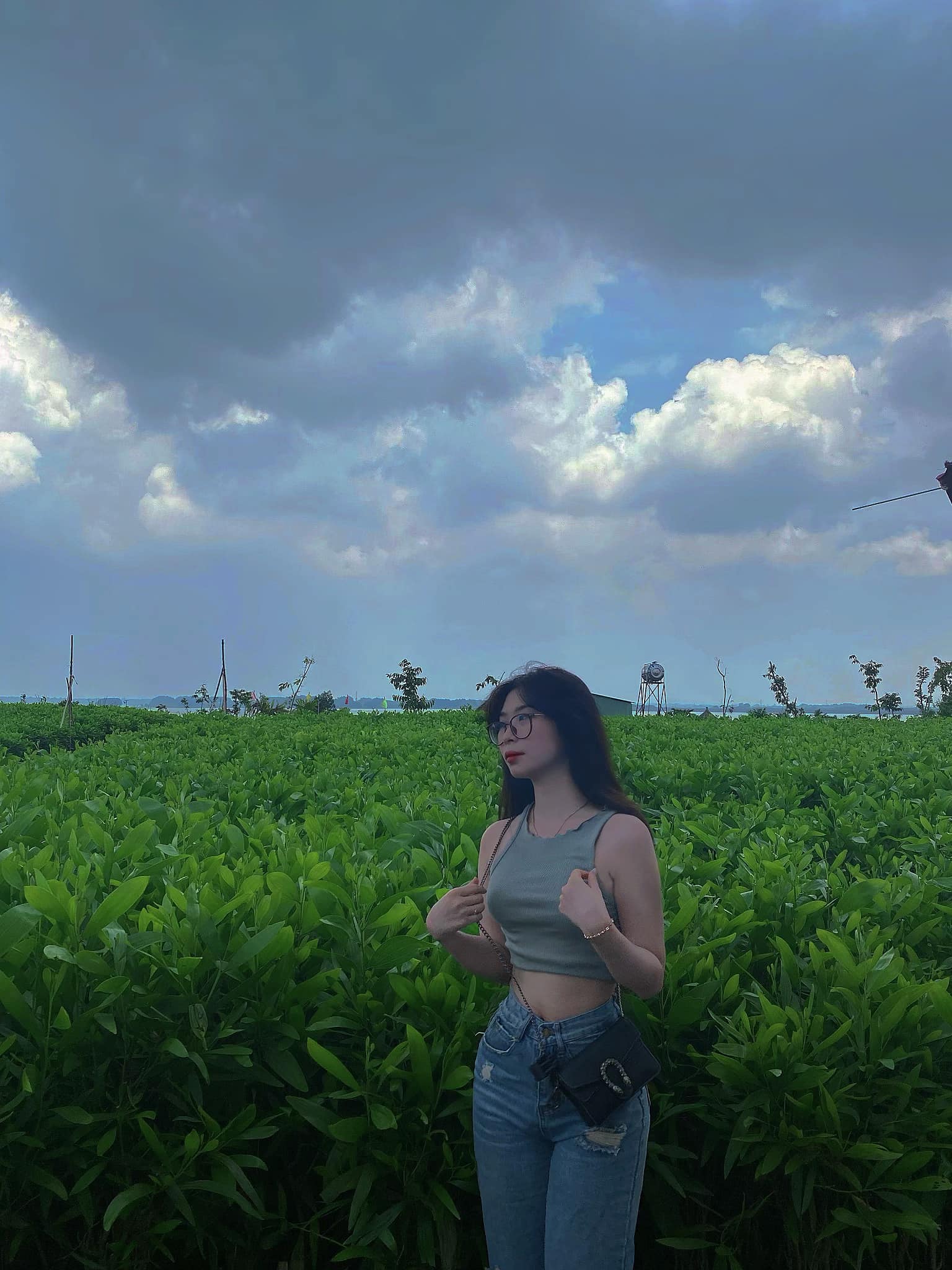 Vy Trần id=100072407201657